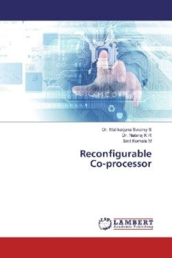 Reconfigurable Co-processor