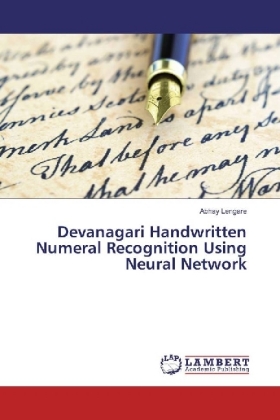Devanagari Handwritten Numeral Recognition Using Neural Network