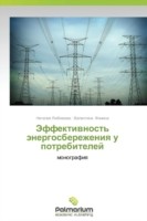 Effektivnost' Energosberezheniya U Potrebiteley