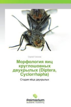 Morfologiya Yaits Krugloshovnykh Dvukrylykh (Diptera, Cyclorrhapha)