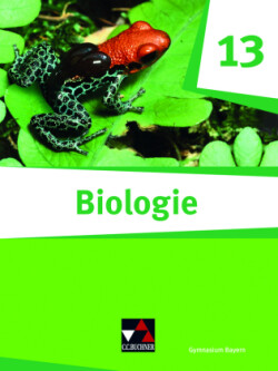 Biologie Bayern 13