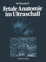 Fetale Anatomie im Ultraschall