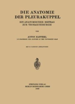 Die Anatomie der Pleurakuppel