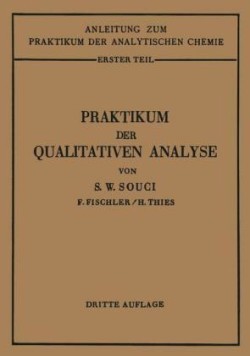 Praktikum der qualitativen Analyse