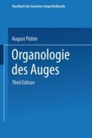 Organologie des Auges