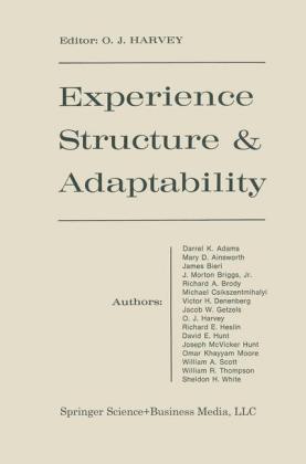 Experience Structure & Adaptability