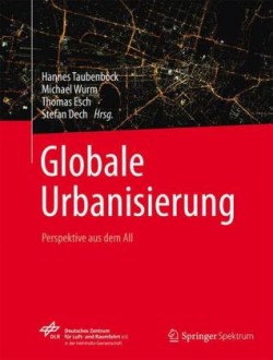 Globale Urbanisierung*