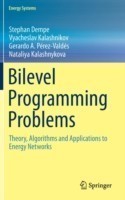 Bilevel Programming Problems Theory, Algorithms and Applications to Energy Networks