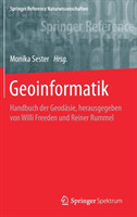 Geoinformatik