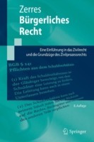 Burgerliches Recht Eine Einfuhrung in Das Zivilrecht Und Die Grundzuge *