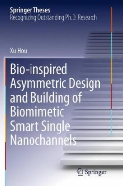 Bio-inspired Asymmetric Design and Building of Biomimetic Smart Single Nanochannels