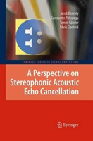 Perspective on Stereophonic Acoustic Echo Cancellation