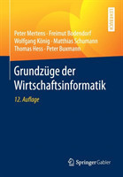 Grundzüge der Wirtschaftsinformatik