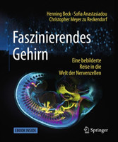 Faszinierendes Gehirn, m. 1 Buch, m. 1 E-Book