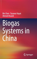 Biogas Systems in China