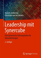 Leadership mit Synercube