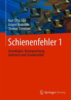 Schienenfehler 1