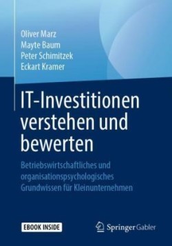 IT-Investitionen verstehen und bewerten, m. 1 Buch, m. 1 E-Book