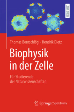 Biophysik in der Zelle