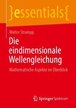 Die eindimensionale Wellengleichung