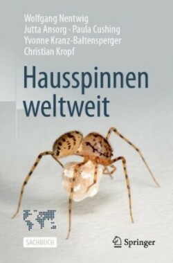 Hausspinnen weltweit