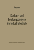 Kosten- und Leistungsanalyse im Industriebetrieb