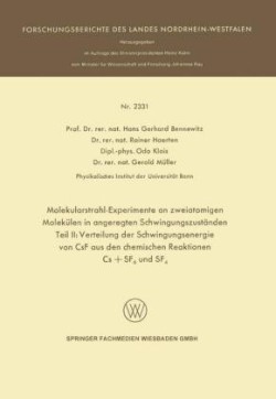 Molekularstrahl-Experimente an zweiatomigen Molekülen in angeregten Schwingungszuständen