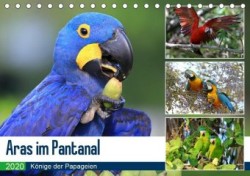 Aras im Pantanal (Tischkalender 2020 DIN A5 quer)