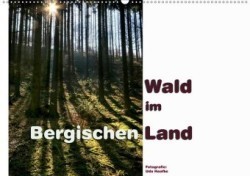 Wald im Bergischen Land 2020 (Wandkalender 2020 DIN A2 quer)