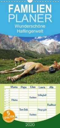 Wunderschöne Haflingerwelt - Familienplaner hoch (Wandkalender 2020 , 21 cm x 45 cm, hoch)