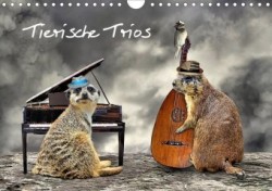 Tierische Trios (Wandkalender 2020 DIN A4 quer)