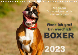 Wenn ich groß bin werd' ich Boxer (Wandkalender 2023 DIN A4 quer)