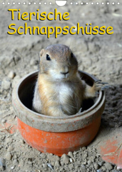 Tierische Schnappschüsse (Wandkalender 2023 DIN A4 hoch)