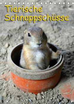 Tierische Schnappschüsse (Tischkalender 2023 DIN A5 hoch)