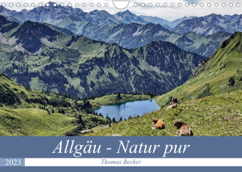 Allgäu - Natur pur (Wandkalender 2023 DIN A4 quer)
