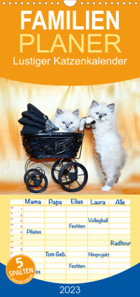 Familienplaner Lustiger Katzenkalender (Wandkalender 2023 , 21 cm x 45 cm, hoch)