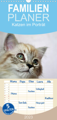Familienplaner Katzen im Porträt / Geburtstagskalender (Wandkalender 2023 , 21 cm x 45 cm, hoch)