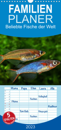 Familienplaner Beliebte Fische der Welt (Wandkalender 2023 , 21 cm x 45 cm, hoch)
