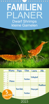 Familienplaner Dwarf Shrimps - kleine Garnelen (Wandkalender 2023 , 21 cm x 45 cm, hoch)