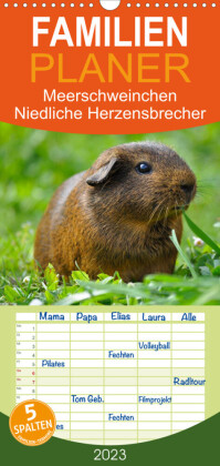 Familienplaner Meerschweinchen Niedliche Herzensbrecher (Wandkalender 2023 , 21 cm x 45 cm, hoch)