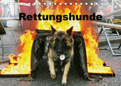 Rettungshunde (Tischkalender 2023 DIN A5 quer)