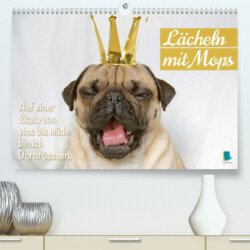 Lächeln mit Mops (Premium, hochwertiger DIN A2 Wandkalender 2023, Kunstdruck in Hochglanz)