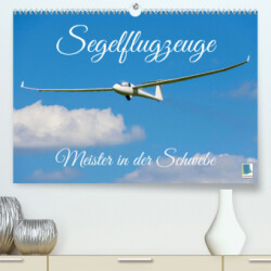 Meister in der Schwebe: Segelflugzeuge (Premium, hochwertiger DIN A2 Wandkalender 2023, Kunstdruck in Hochglanz)