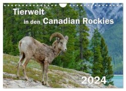 Tierwelt in den Canadian Rockies (Wandkalender 2024 DIN A4 quer), CALVENDO Monatskalender