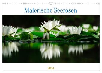 Malerische Seerosen (Wandkalender 2024 DIN A3 quer), CALVENDO Monatskalender