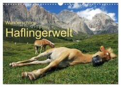 Wunderschöne Haflingerwelt (Wandkalender 2024 DIN A3 quer), CALVENDO Monatskalender