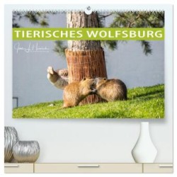 Tierisches Wolfsburg (hochwertiger Premium Wandkalender 2024 DIN A2 quer), Kunstdruck in Hochglanz
