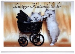 Lustiger Katzenkalender (Tischkalender 2024 DIN A5 quer), CALVENDO Monatskalender