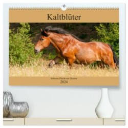 Kaltblüter - Schwere Pferde mit Charme (hochwertiger Premium Wandkalender 2024 DIN A2 quer), Kunstdruck in Hochglanz