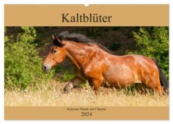 Kaltblüter - Schwere Pferde mit Charme (Wandkalender 2024 DIN A2 quer), CALVENDO Monatskalender